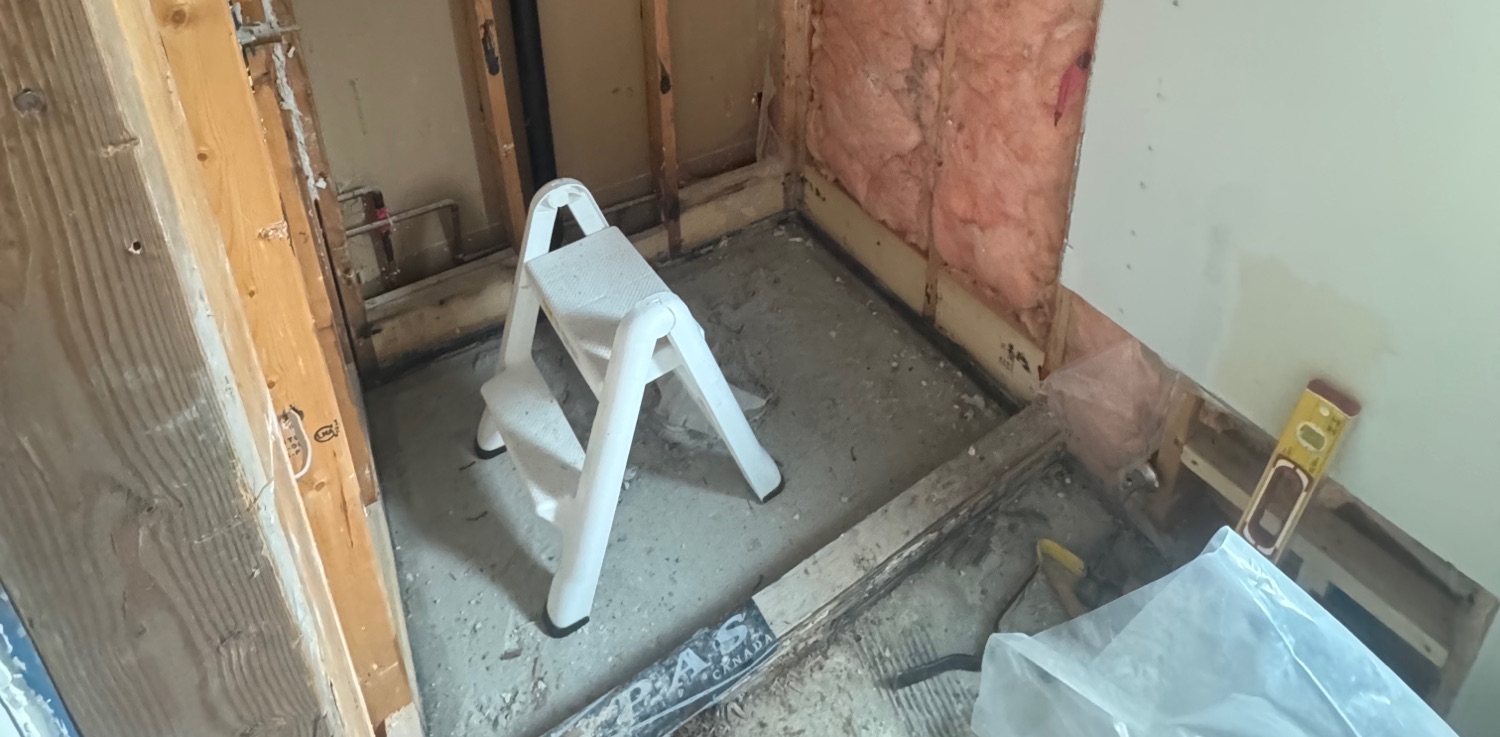 A bathroom with walls removed; exposed, rotten wood; insulation